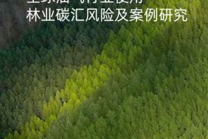 减排的幻影：全球油气行业使用林业碳汇风险及案例研究